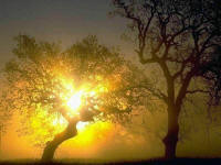 la nuit c'est moi...!!!!